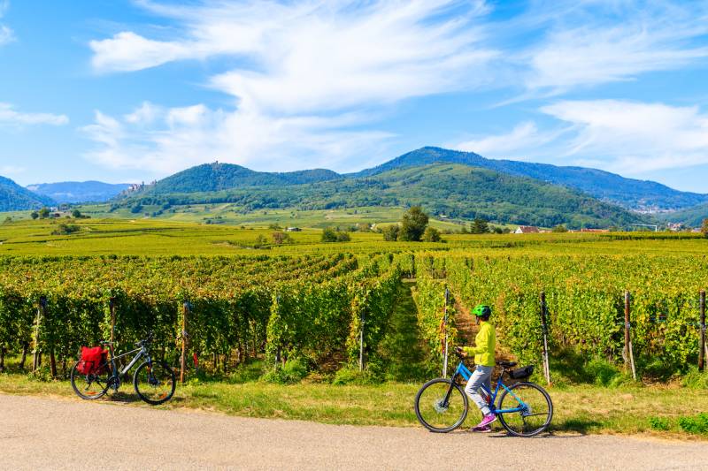 Burgundy: Wine Bike Tour